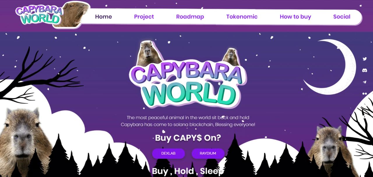 Capybara Nation Crypto News Today An Exciting Update
