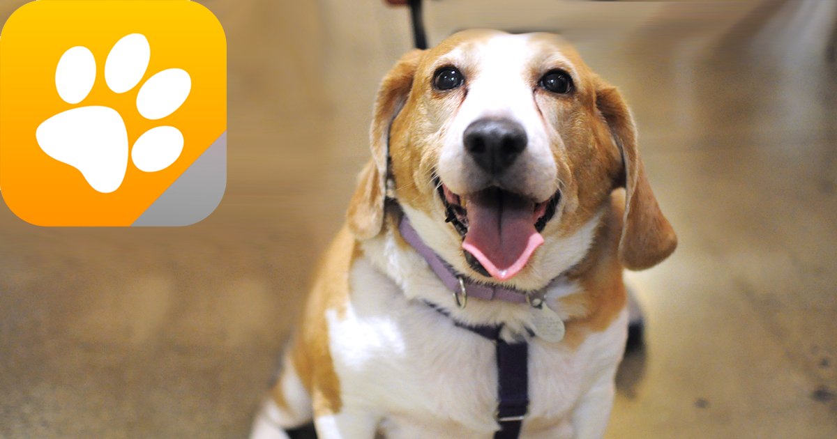 aspca app Transforming Animal Welfare and Care