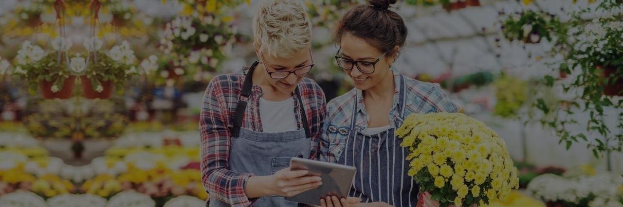American Express Merchant Finance Simplifying Payments